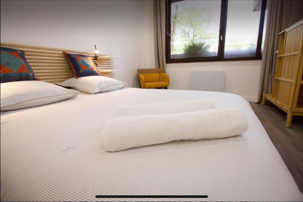 Superbe Appartement En Plein Coeur De Metz. Eksteriør billede